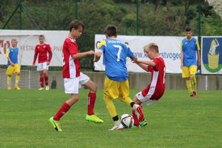 国乒一哥德国杯首战即惊艳，连多特教练都成粉丝！