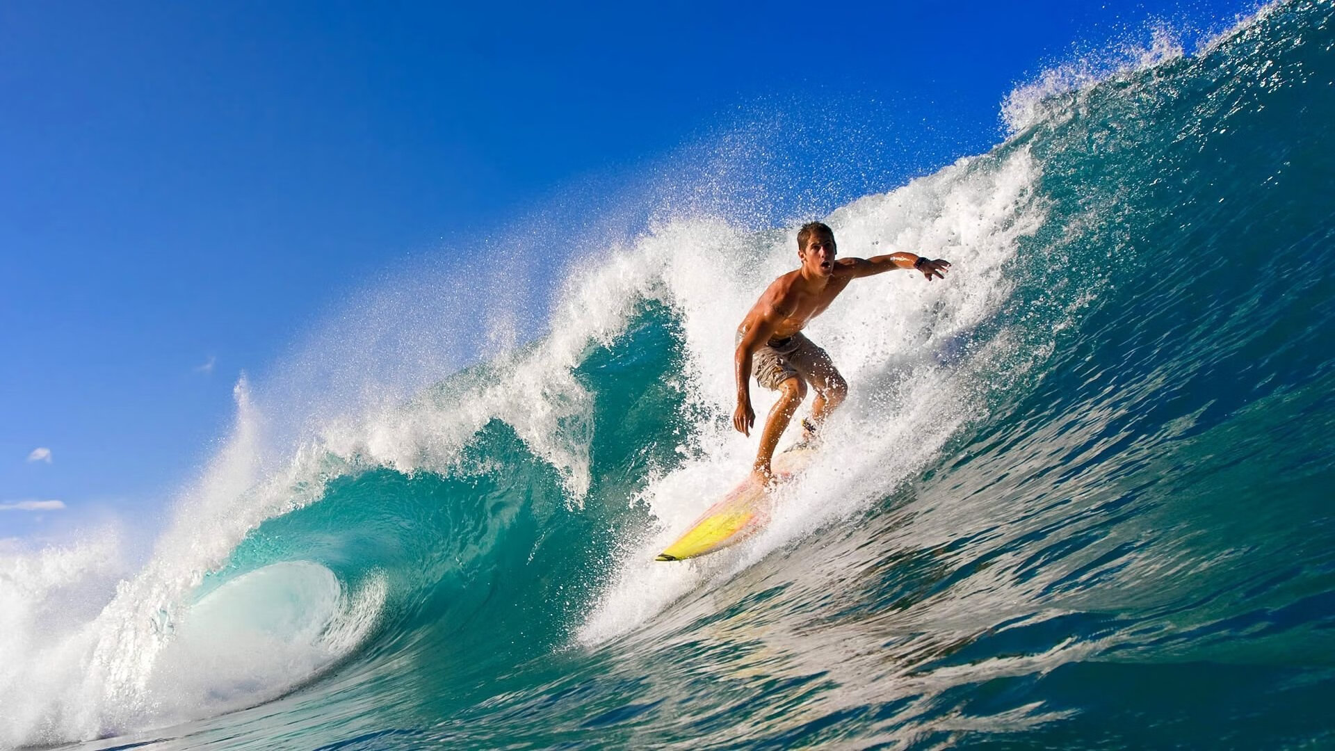 世界排球联赛:二传创造性分配改变战术,第二季世界排球